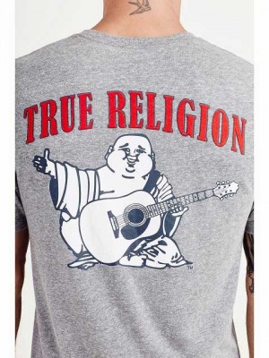 Camiseta True Religion Buddha Logo Hombre Gris | Colombia-ODTKCVS65